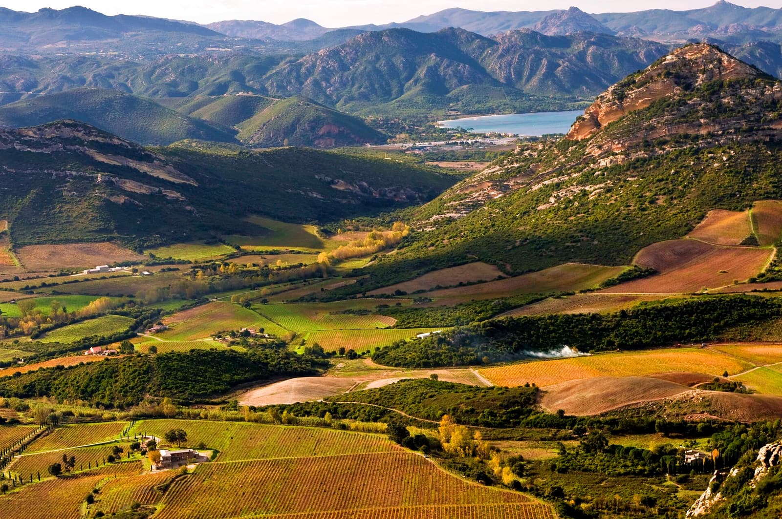 Vineyards of the Patrimonio appellation in a valley of golden fields, with the Gulf of Saint-Florent beyond
