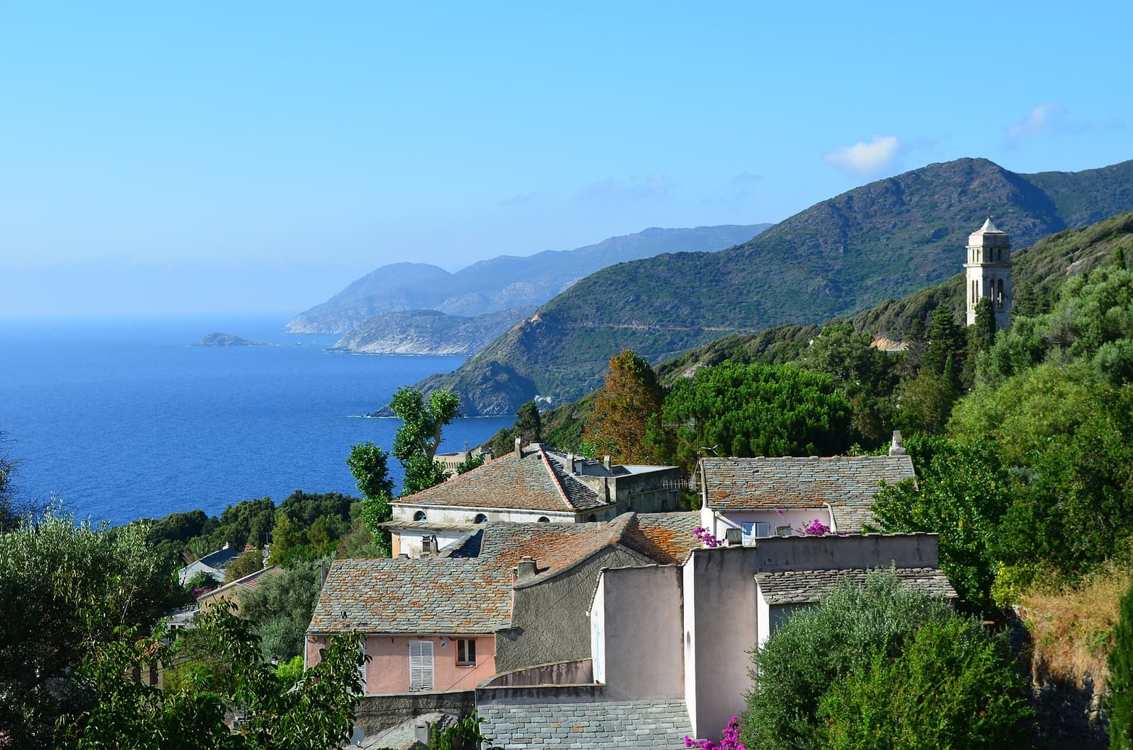 The village of Pino among trees on a steep green slope, with its church tower and the west coast of Cap Corse beyond