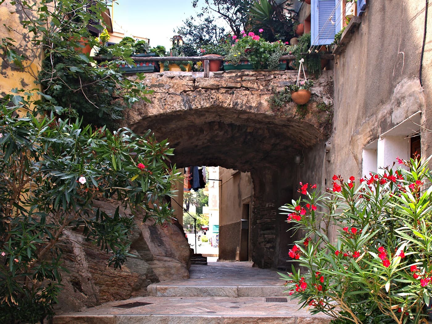 A vaulted lane in Erbalunga framed by flowering oleanders
