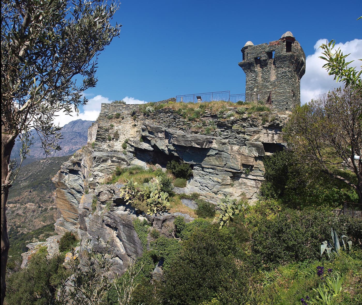 The square Paoline tower of Nonza on top of a sheer rock, seen from below